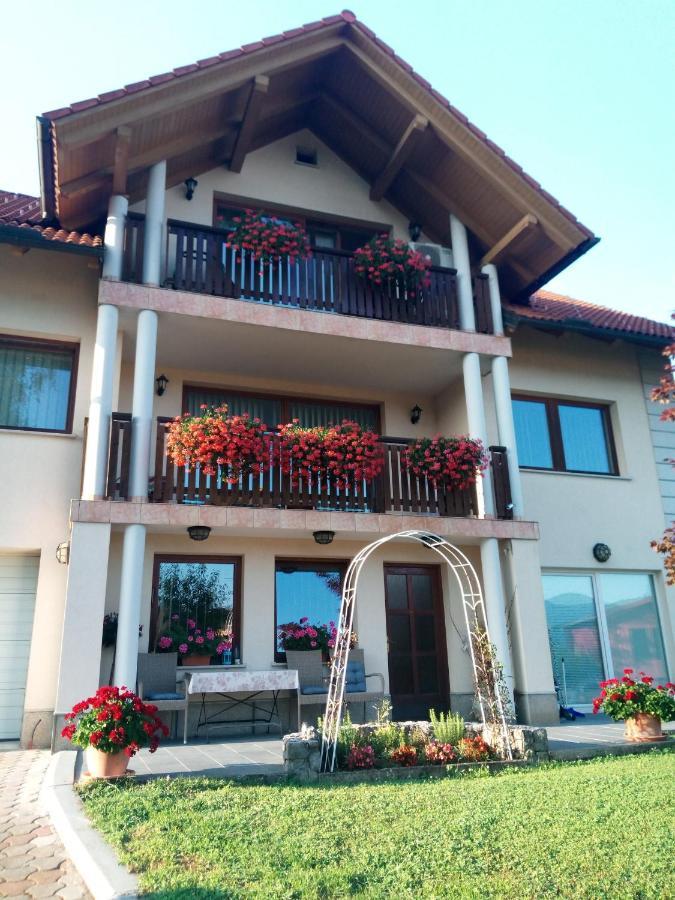 Dolenjska Vila Zuzemberk Esterno foto