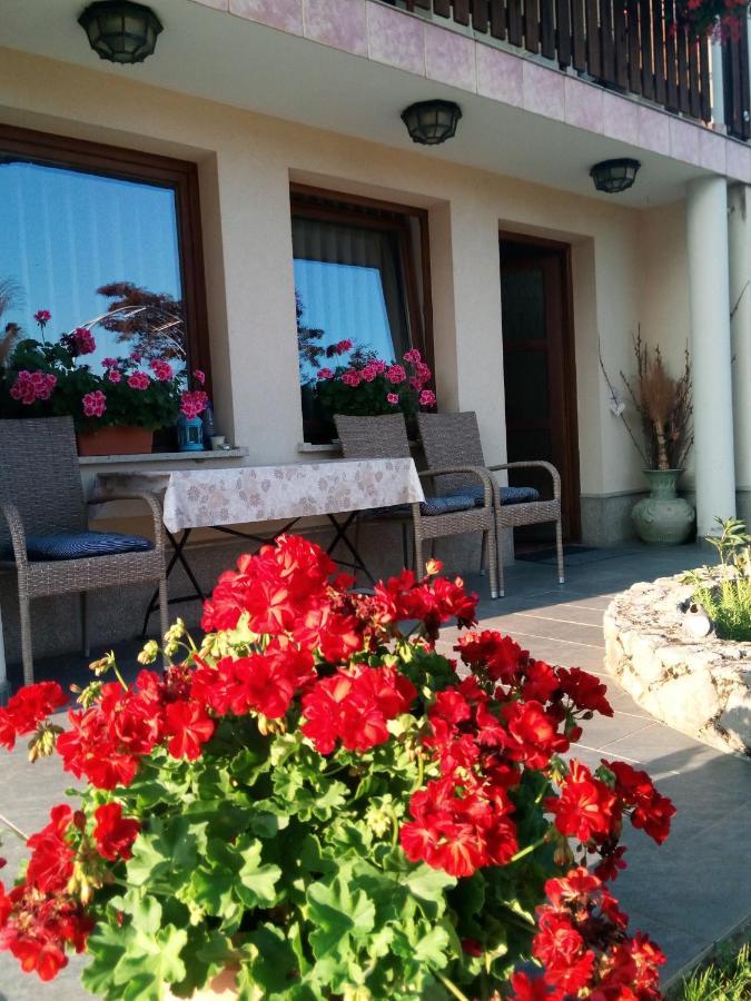 Dolenjska Vila Zuzemberk Esterno foto